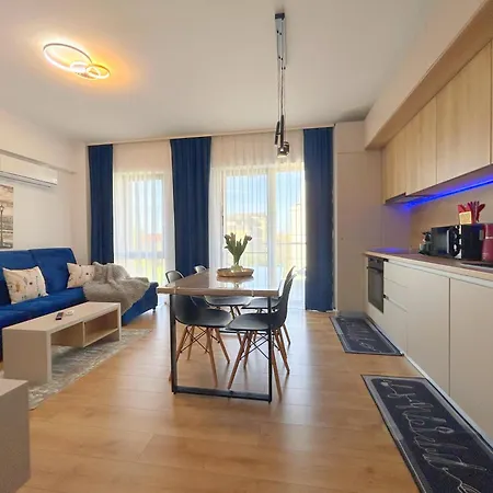 Vladi Q 公寓 蒂米什瓦拉