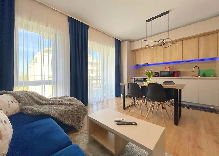 Apartment Vladi Q Timişoara